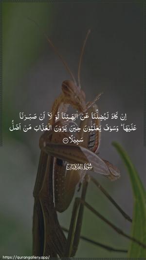 Al-Furqaan Ayah 42 - Arabic wallpaper