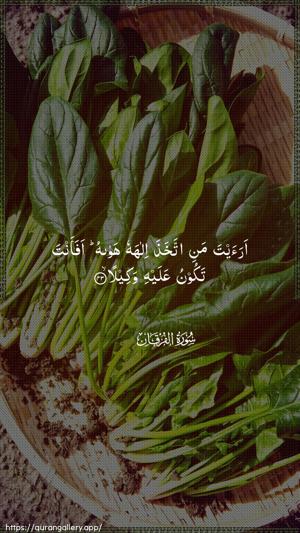 Al-Furqaan Ayah 43 - Arabic wallpaper