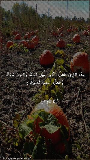Al-Furqaan Ayah 47 - Arabic wallpaper