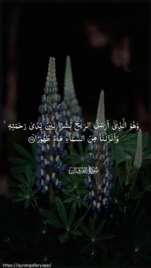 Al-Furqaan Ayah 48 - Arabic wallpaper