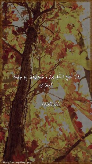 Al-Furqaan Ayah 52 - Arabic wallpaper