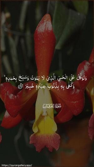 Al-Furqaan Ayah 58 - Arabic wallpaper