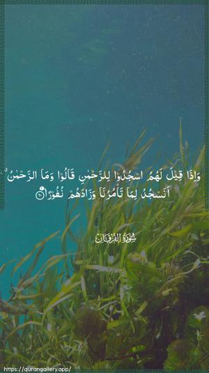 Al-Furqaan Ayah 60 - Arabic wallpaper