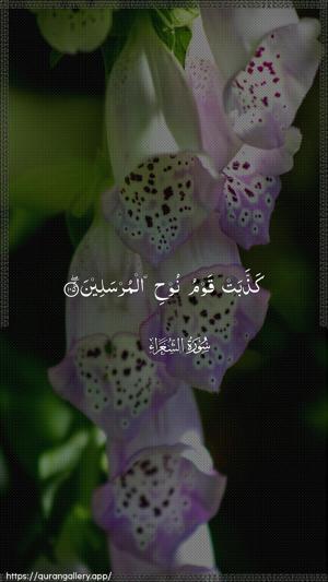 Ash-Shu"araa Ayah 105 - Arabic wallpaper