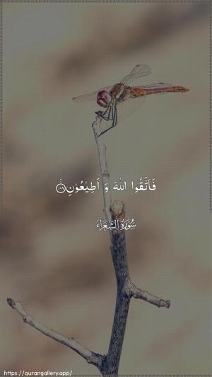 Ash-Shu"araa Ayah 108 - Arabic wallpaper