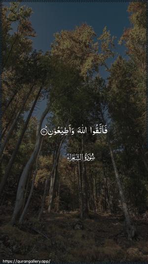 Ash-Shu"araa Ayah 110 - Arabic wallpaper