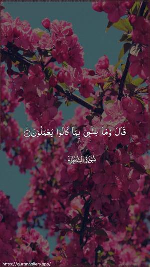 Ash-Shu"araa Ayah 112 - Arabic wallpaper