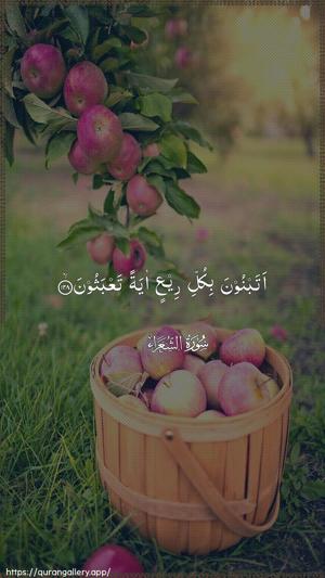 Ash-Shu"araa Ayah 128 - Arabic wallpaper