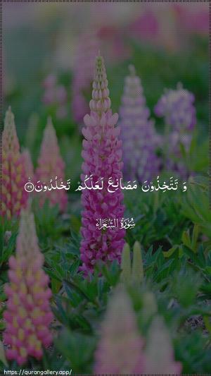 Ash-Shu"araa Ayah 129 - Arabic wallpaper
