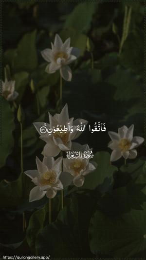 Ash-Shu"araa Ayah 131 - Arabic wallpaper