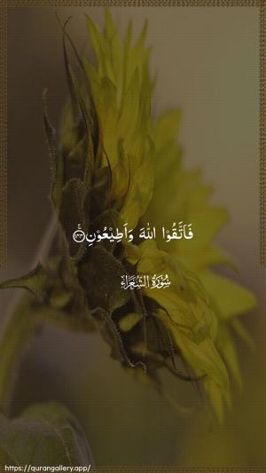 Ash-Shu"araa Ayah 144 - Arabic wallpaper