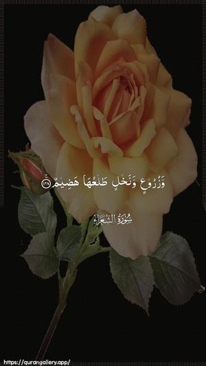 Ash-Shu"araa Ayah 148 - Arabic wallpaper