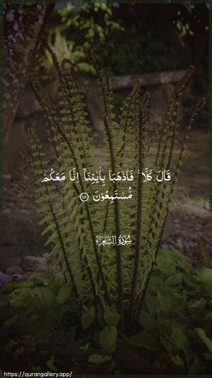 Ash-Shu"araa Ayah 15 - Arabic wallpaper