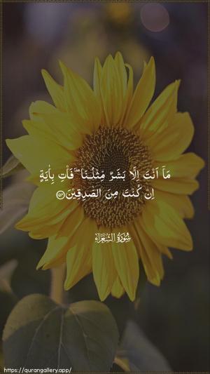Ash-Shu"araa Ayah 154 - Arabic wallpaper