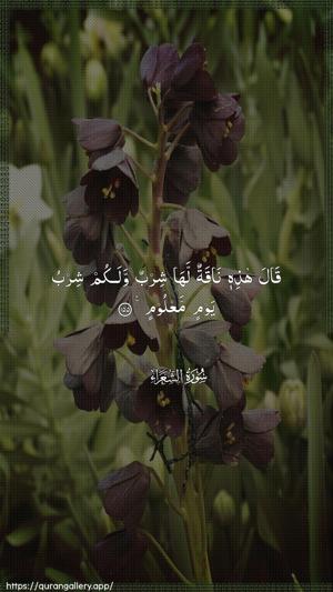 Ash-Shu"araa Ayah 155 - Arabic wallpaper