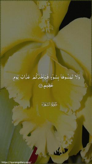 Ash-Shu"araa Ayah 156 - Arabic wallpaper