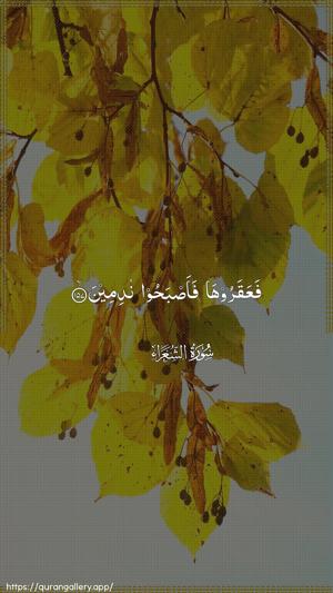 Ash-Shu"araa Ayah 157 - Arabic wallpaper