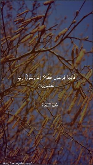 Ash-Shu"araa Ayah 16 - Arabic wallpaper