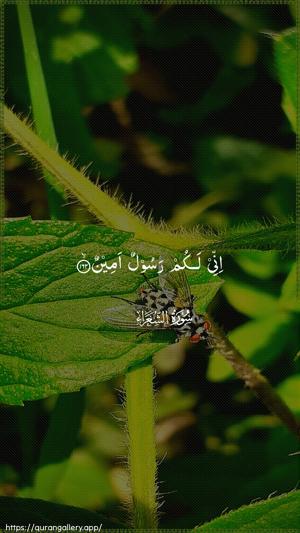 Ash-Shu"araa Ayah 162 - Arabic wallpaper