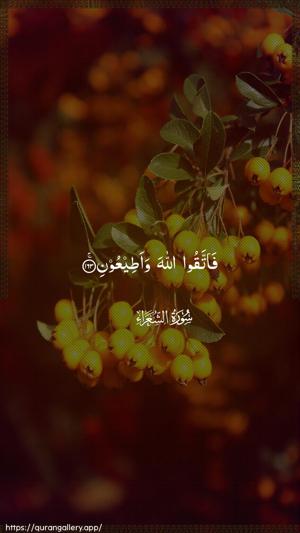 Ash-Shu"araa Ayah 163 - Arabic wallpaper