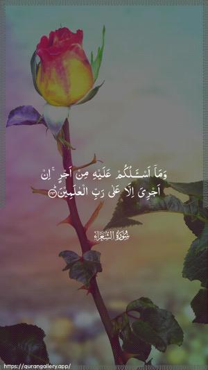 Ash-Shu"araa Ayah 164 - Arabic wallpaper