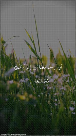 Ash-Shu"araa Ayah 17 - Arabic wallpaper