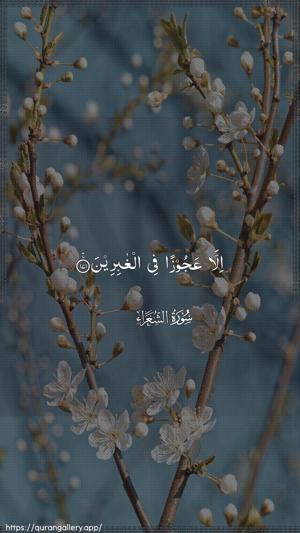 Ash-Shu"araa Ayah 171 - Arabic wallpaper