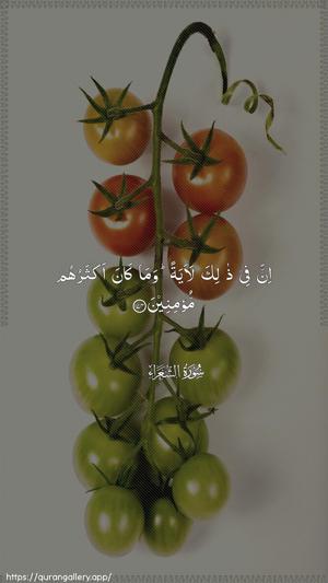 Ash-Shu"araa Ayah 174 - Arabic wallpaper