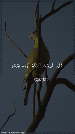 Ash-Shu"araa Ayah 176 - Arabic wallpaper