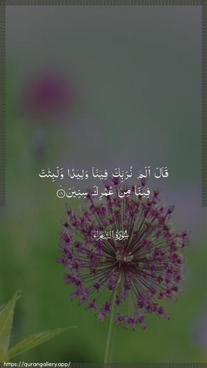 Ash-Shu"araa Ayah 18 - Arabic wallpaper