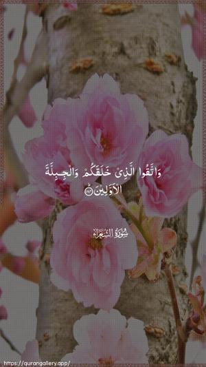 Ash-Shu"araa Ayah 184 - Arabic wallpaper