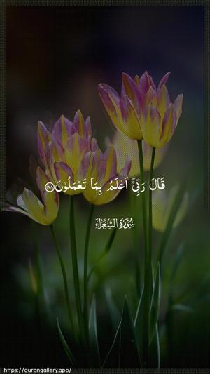 Ash-Shu"araa Ayah 188 - Arabic wallpaper