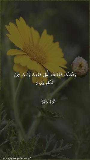 Ash-Shu"araa Ayah 19 - Arabic wallpaper