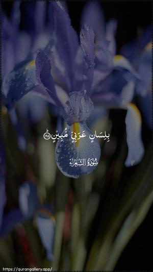 Ash-Shu"araa Ayah 195 - Arabic wallpaper