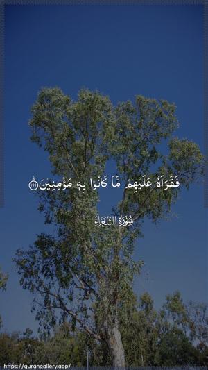 Ash-Shu"araa Ayah 199 - Arabic wallpaper