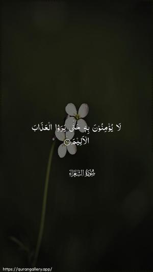 Ash-Shu"araa Ayah 201 - Arabic wallpaper