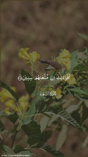 Ash-Shu"araa Ayah 205 - Arabic wallpaper