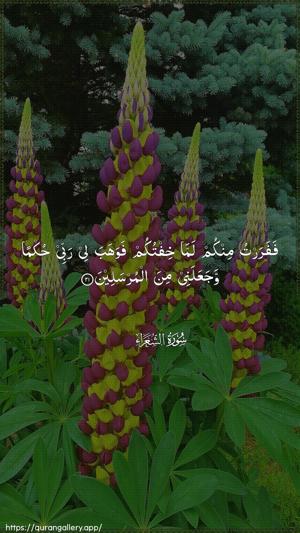 Ash-Shu"araa Ayah 21 - Arabic wallpaper