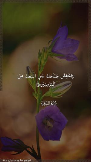 Ash-Shu"araa Ayah 215 - Arabic wallpaper
