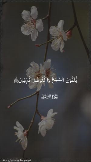 Ash-Shu"araa Ayah 223 - Arabic wallpaper