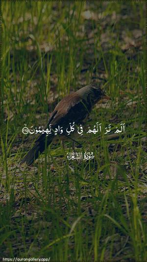 Ash-Shu"araa Ayah 225 - Arabic wallpaper