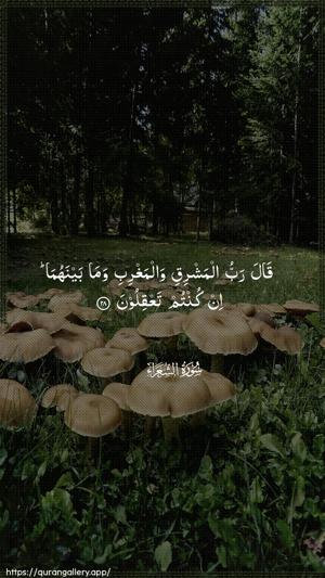 Ash-Shu"araa Ayah 28 - Arabic wallpaper