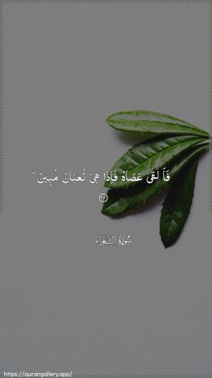 Ash-Shu"araa Ayah 32 - Arabic wallpaper