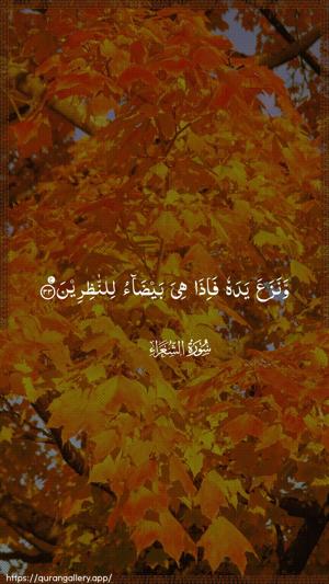 Ash-Shu"araa Ayah 33 - Arabic wallpaper