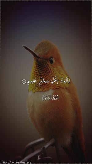 Ash-Shu"araa Ayah 37 - Arabic wallpaper