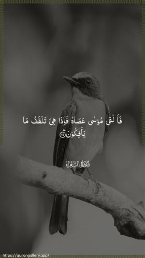 Ash-Shu"araa Ayah 45 - Arabic wallpaper