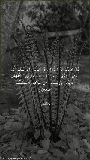 Ash-Shu"araa Ayah 49 - Arabic wallpaper