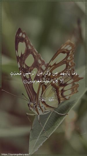 Ash-Shu"araa Ayah 5 - Arabic wallpaper