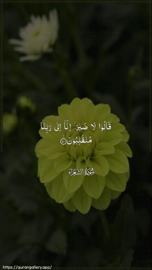 Ash-Shu"araa Ayah 50 - Arabic wallpaper