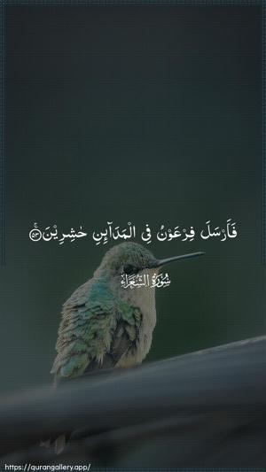 Ash-Shu"araa Ayah 53 - Arabic wallpaper